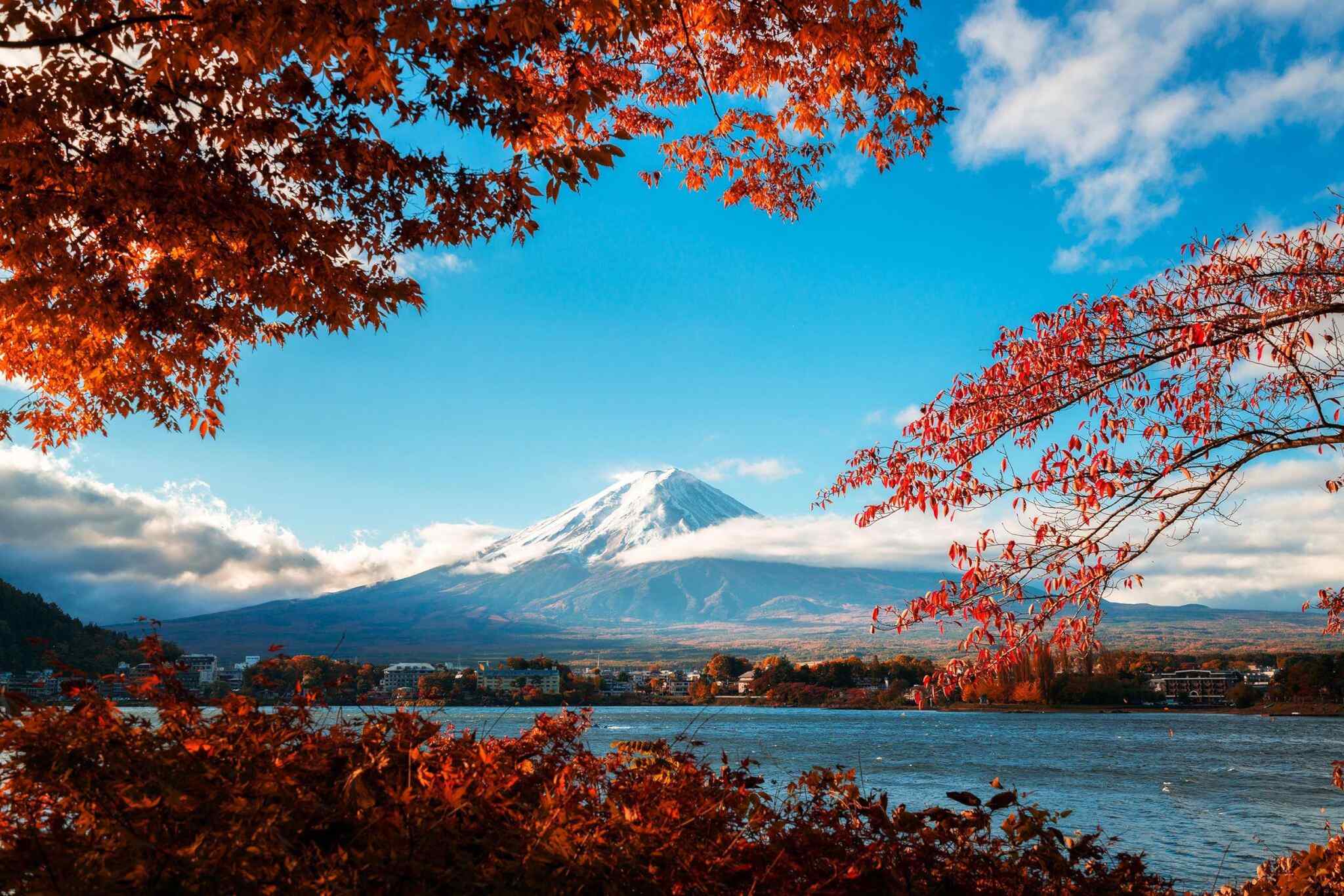 https://sealifefordiving.com/wp-content/uploads/2018/09/tour-fuji-04.jpg