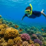 ali baba palace hurghada schnorcheln