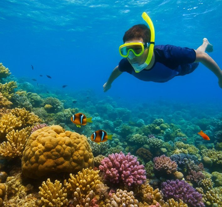 ali baba palace hurghada schnorcheln