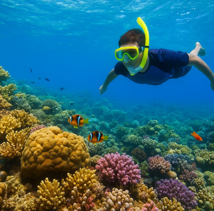 ali baba palace hurghada schnorcheln